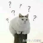 世界上稀奇古怪的网站,全球有什么有趣的网站