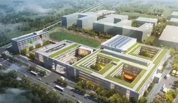 民办学校最新走向,最新公办私立学校最新消息