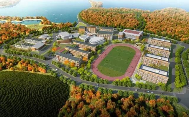 民办学校最新走向,最新公办私立学校最新消息