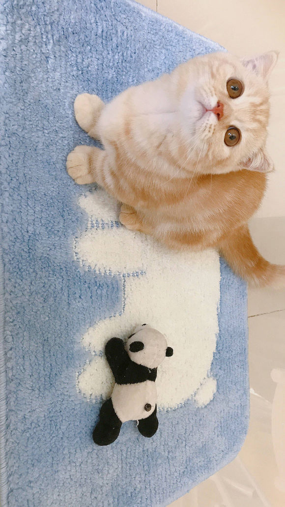 情话九宫格壁纸,情话壁纸图片大全集