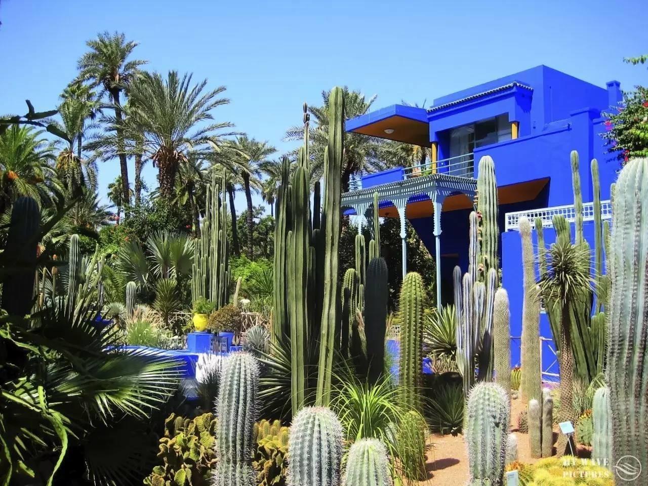 ysl时装视频,2024春夏时装秀ysl