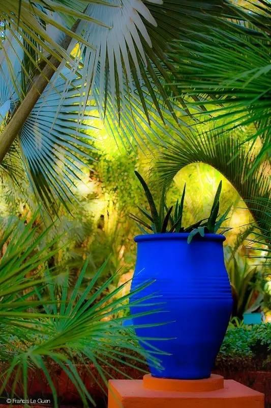 ysl时装视频,2024春夏时装秀ysl