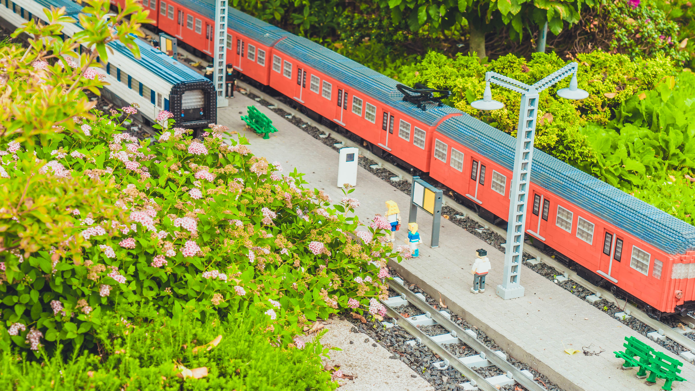 用积木搭建一个非常大的游乐场,254块积木拼装