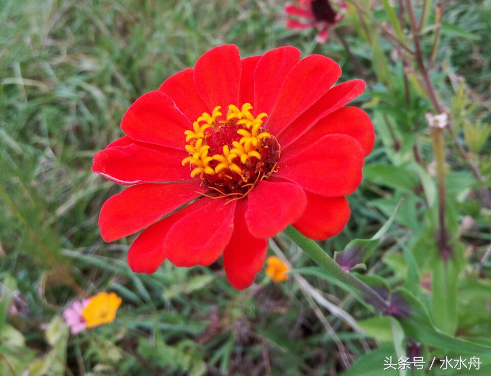 有一个很娘的老公,有娘的老公是什么感觉