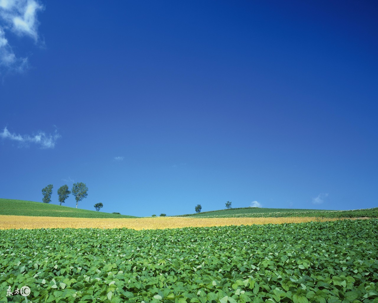 关于成功创业的十大秘诀,成功致富的十个秘诀