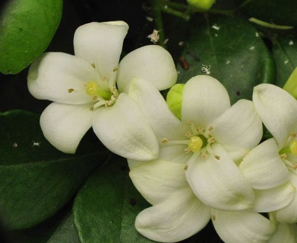 祝钟南山院士健康长寿生日快乐,祝钟南山院士生日快乐