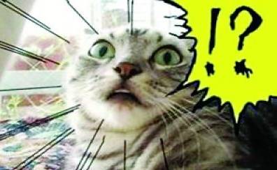 石家庄99%人的上班状态，最后一个说到心坎里了！