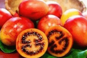 新西兰奇异果是几月的水果,新西兰奇异果大全