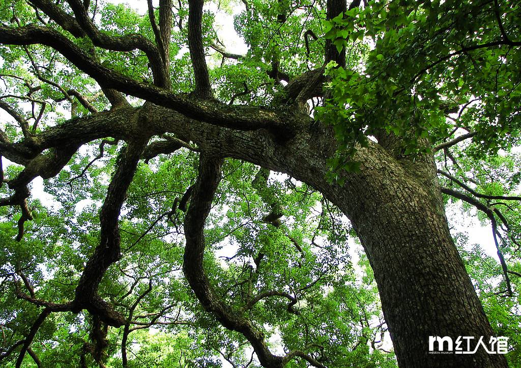 在株洲，有一种青春叫田心！