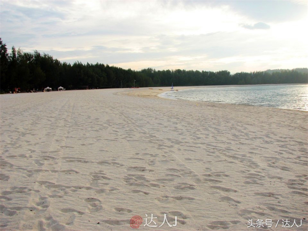 达人J：新马声色任逍遥