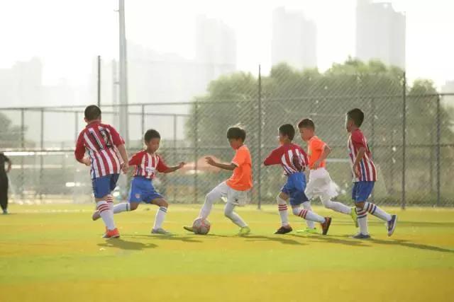 总有一种记忆值得珍藏素材,总有一种记忆值得珍藏800字记叙文