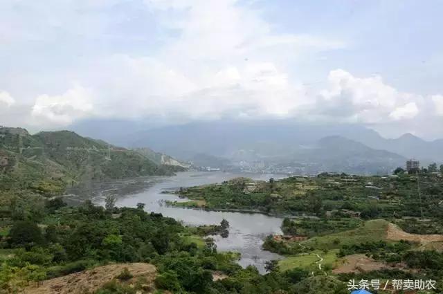 这个教师节，我要送芒果界的“巨无霸”