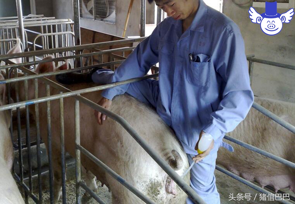 人工授精失败了是什么原因造成的,人工授精失败的原因是什么呢