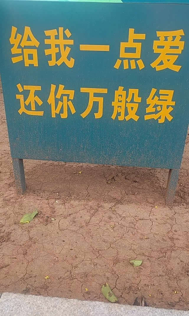 段子十则第四十七期,段子十则第十二集