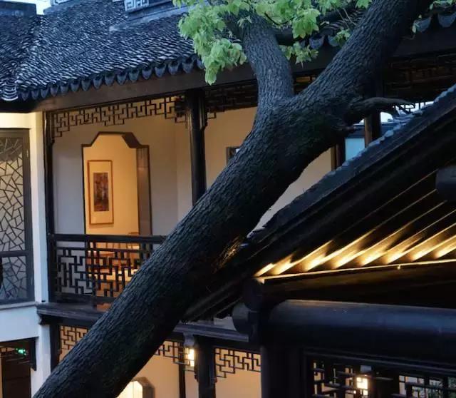 蒹葭苍苍白露为霜天冷莫忘添衣,蒹葭苍苍白露为霜何日归故乡