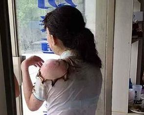 体罚学生打手心打到哭,小学生被体罚被打