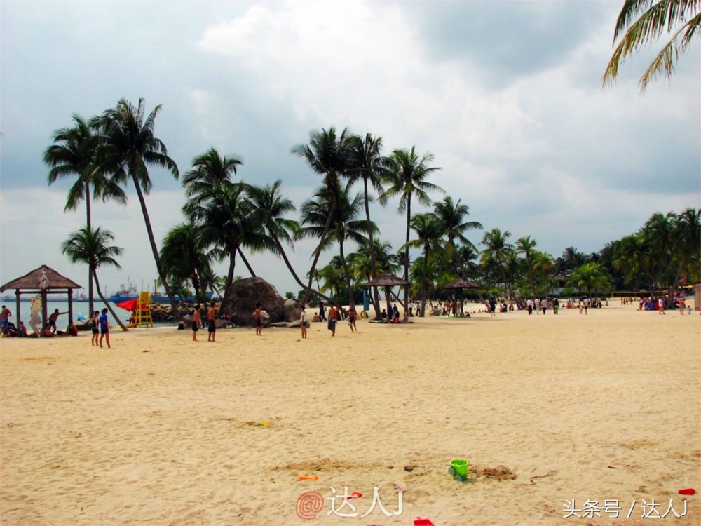 达人J：新马声色任逍遥