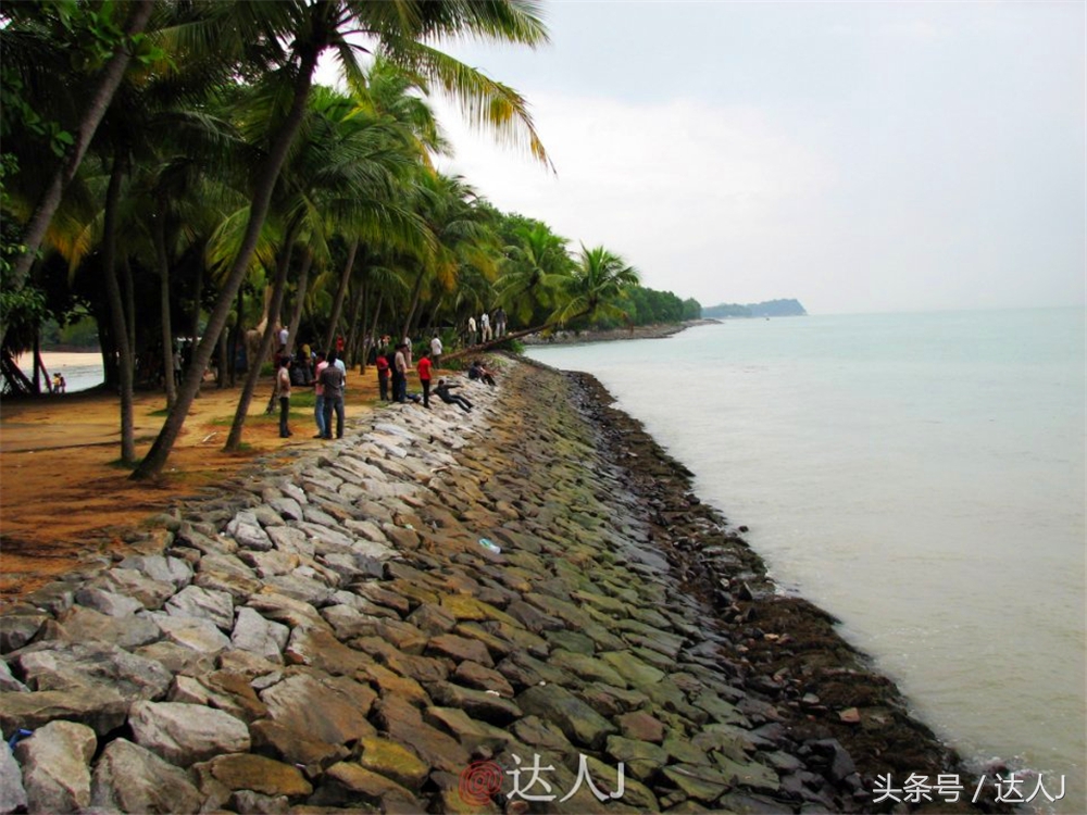 达人J：新马声色任逍遥