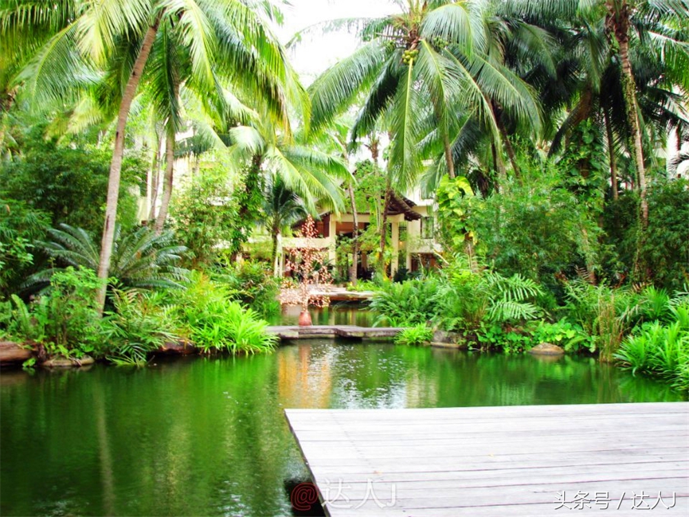 达人J：新马声色任逍遥