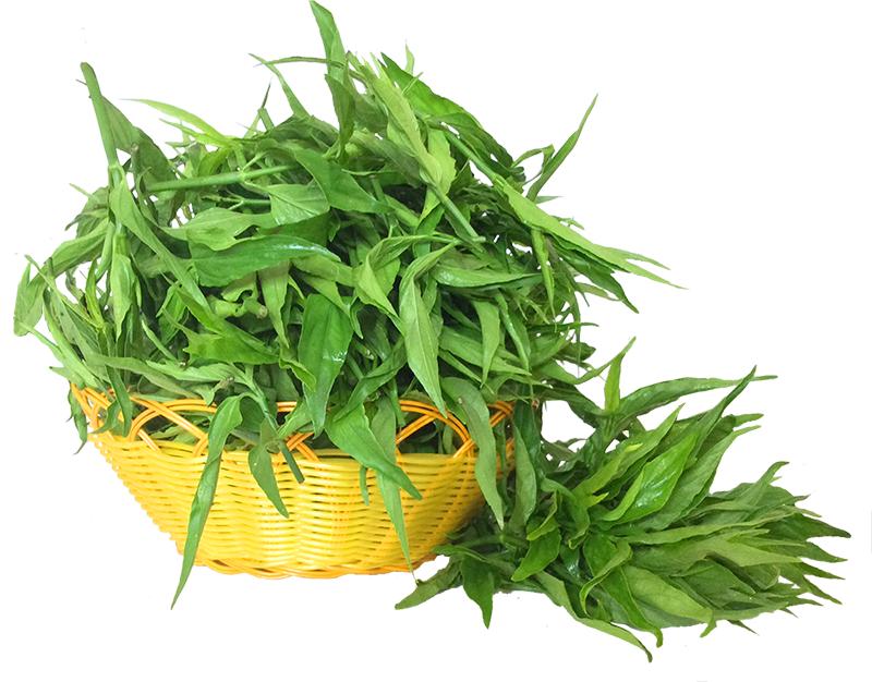 妈妈无征兆几分钟突然猝死,妈妈死亡孩子以为睡着了