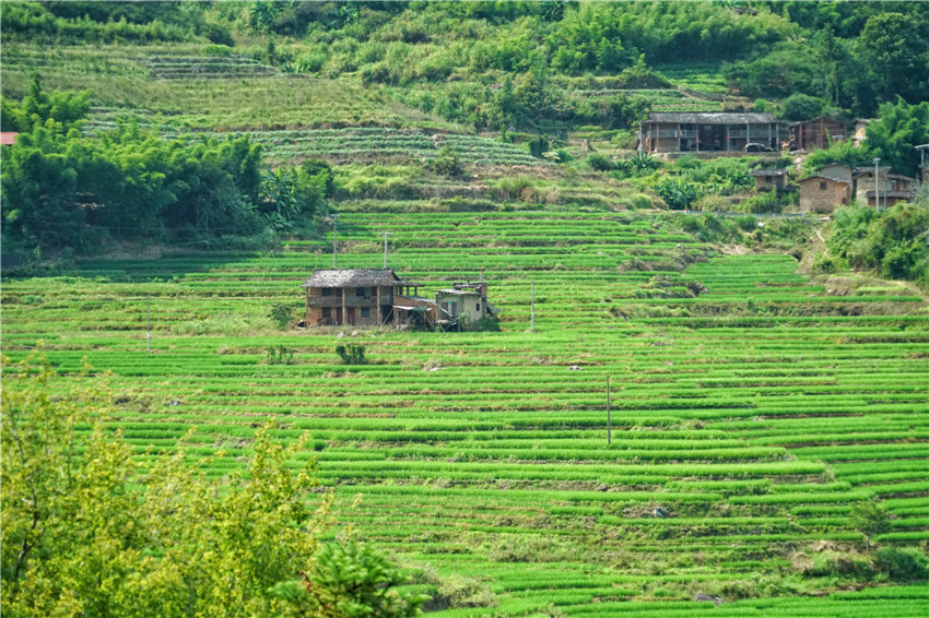 你来过福建平潭岛吗,来福建感受闽南文化