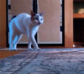 没办法啊打又打不过，只能用淫荡的微笑来缓解尴尬