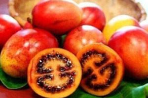 新西兰奇异果是几月的水果,新西兰奇异果大全