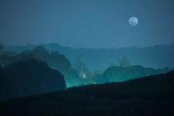 蒹葭苍苍白露为霜天冷莫忘添衣,蒹葭苍苍白露为霜何日归故乡