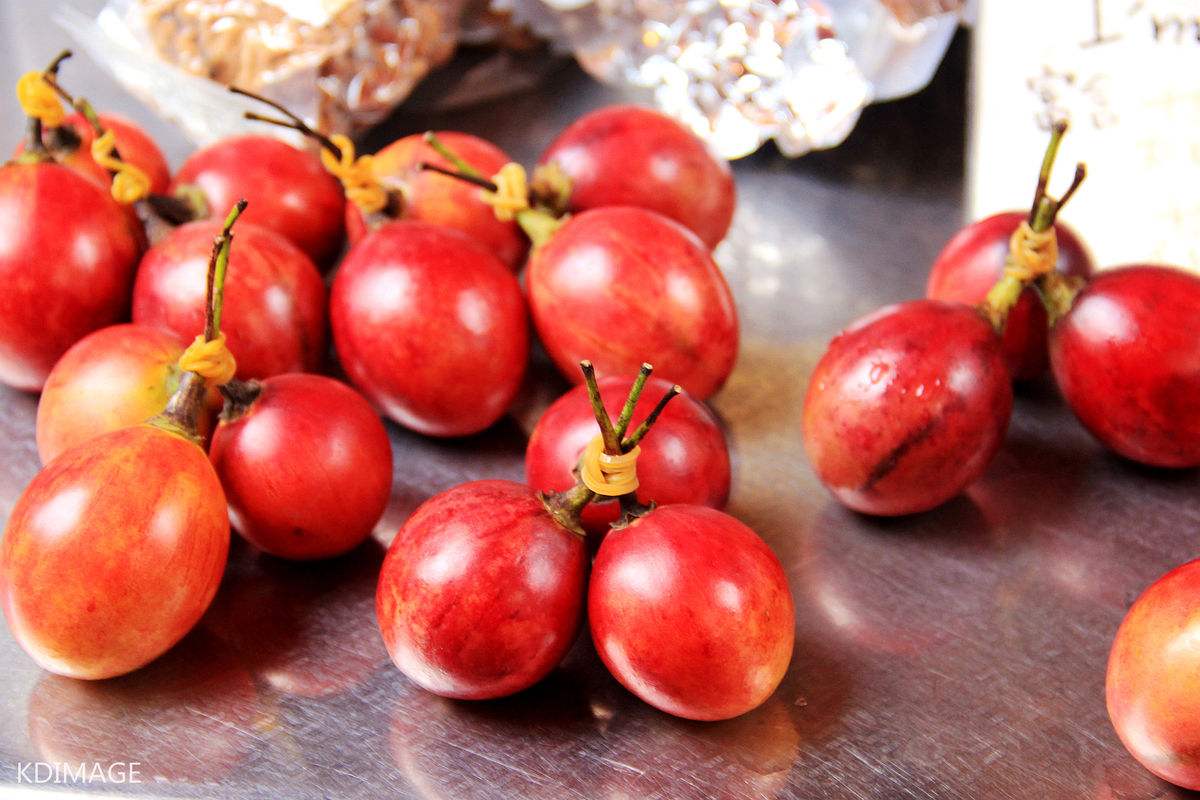 新西兰奇异果是几月的水果,新西兰奇异果大全