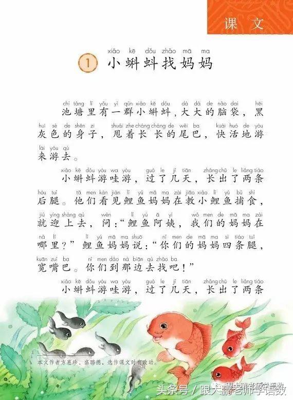 小蝌蚪找妈妈课文讲课ppt,小蝌蚪找妈妈课件