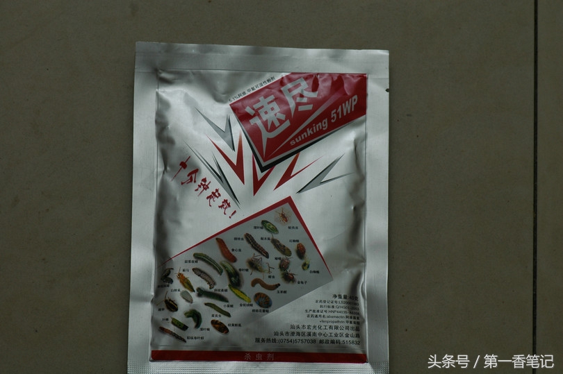 兰叶长介壳虫怎么处理,养兰宜忌