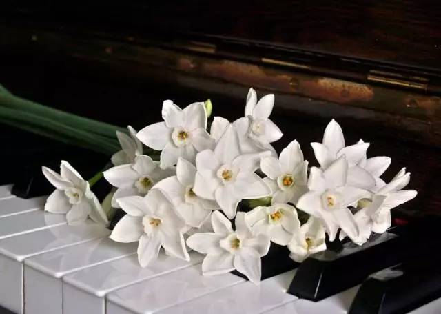 培训机构绘画老师课堂规矩,体育老师办培训班怎么处理