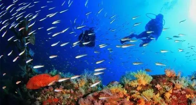 一个让人看了就想脱衣服的海岛，还能与漫天萤火虫共舞……