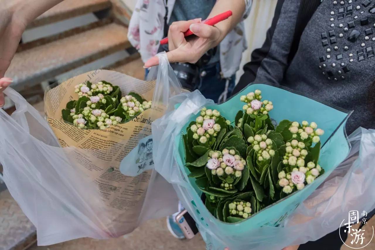 逛花鸟鱼虫市场的视频,逛各种花鸟市场