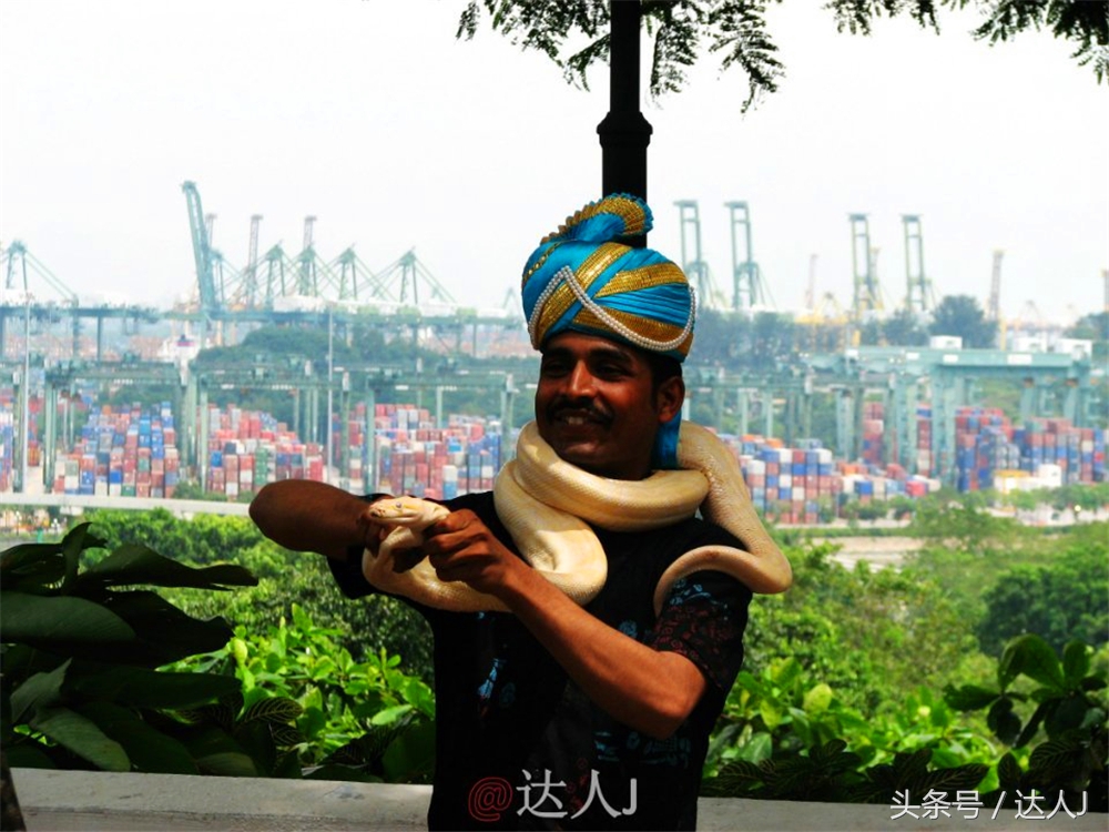 达人J：新马声色任逍遥