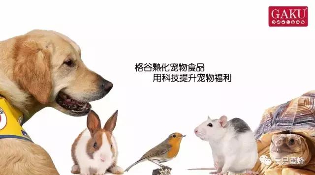 动物园鸟类科普讲解,动物园动物的常见病