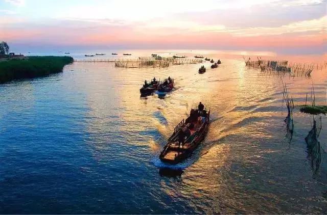 蒹葭苍苍白露为霜天冷莫忘添衣,蒹葭苍苍白露为霜何日归故乡