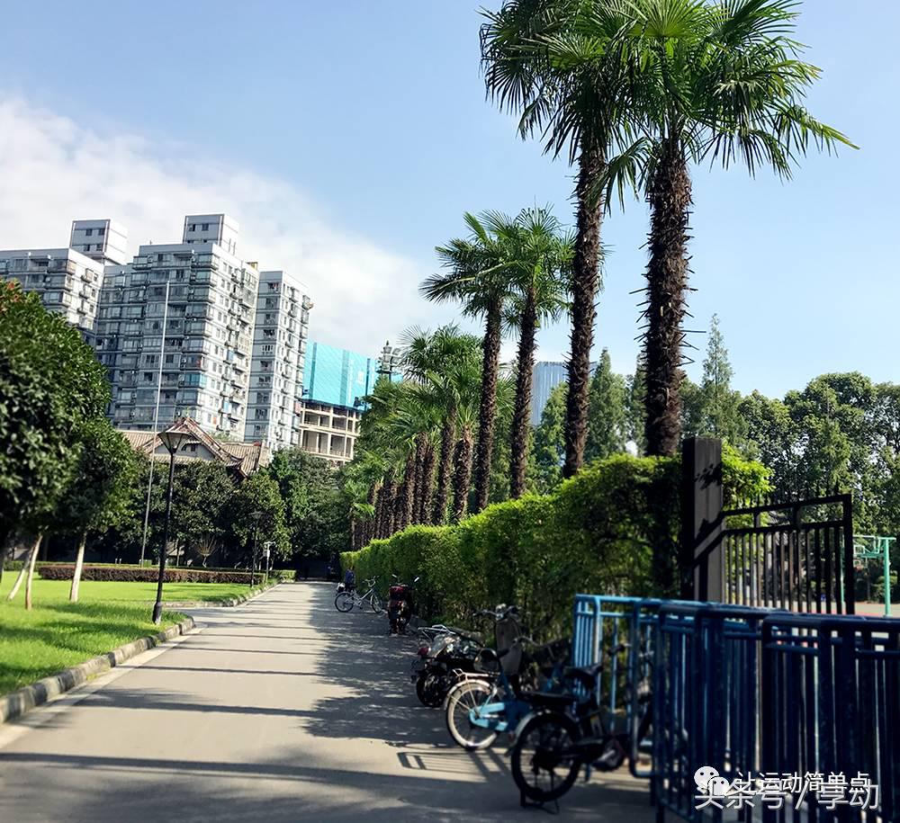 广州最有名的室外篮球场,成都室外篮球场