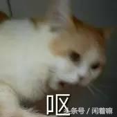 世界上稀奇古怪的网站,全球有什么有趣的网站