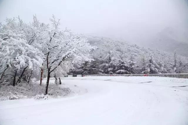 人生最大的乐趣是自己喜欢的工作,人生的最大乐趣无非就是吃喝玩乐