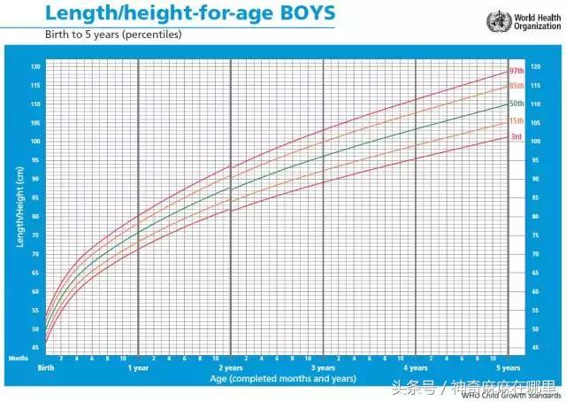宝宝偏瘦或偏矮？教你一招！很多爸妈认为自己懂，其实掉进了误区