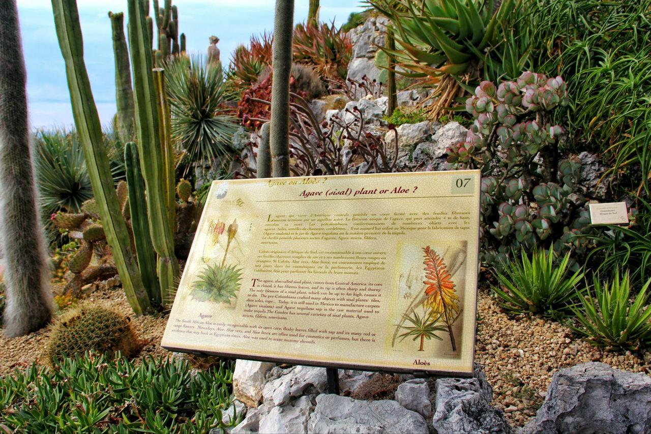 教师节旅行,教师节的旅行