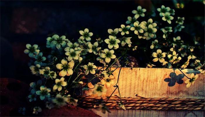 打坐为什么脚和腰酸痛,打坐后腰酸怎么回事