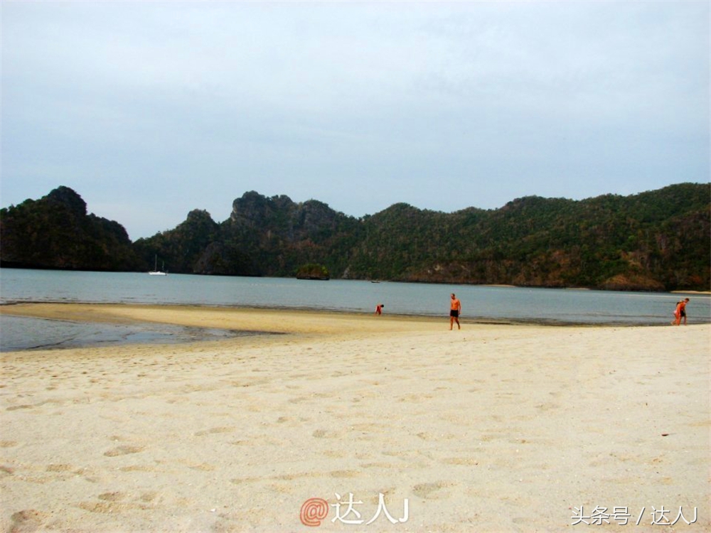 达人J：新马声色任逍遥