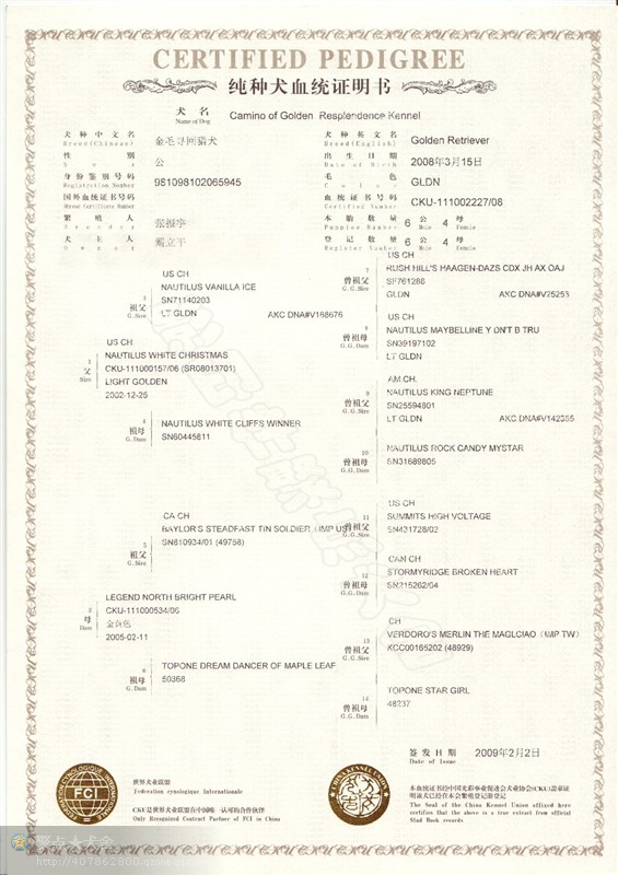狗的血统证书讲解,犬的血统证书图片