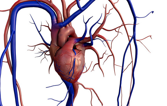心脏虚弱的10个表现,心脏神经官能症身体虚弱怎么办