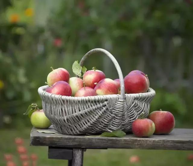 孕妈妈很饿但是吃不进去饭,孕妇胃口不好吃不下怎么办