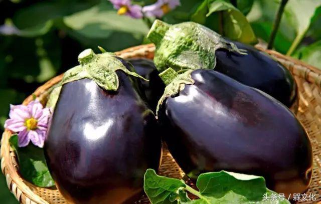 一城一食｜不是肉干胜似肉干的……呃，茄子！