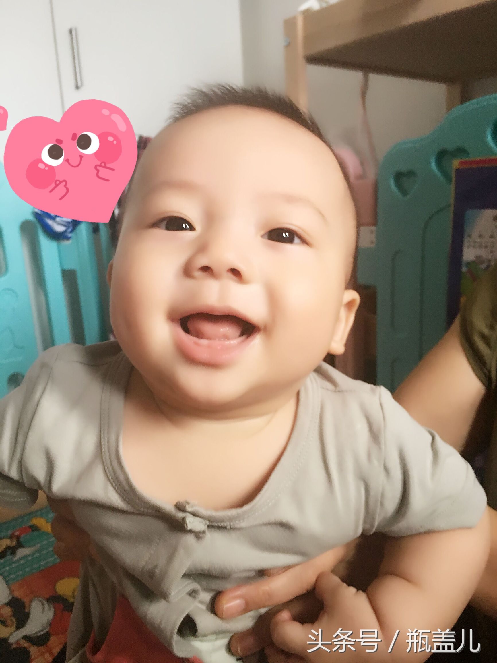 家有男孩儿怎么培养,家有6个月宝宝能养小狗吗