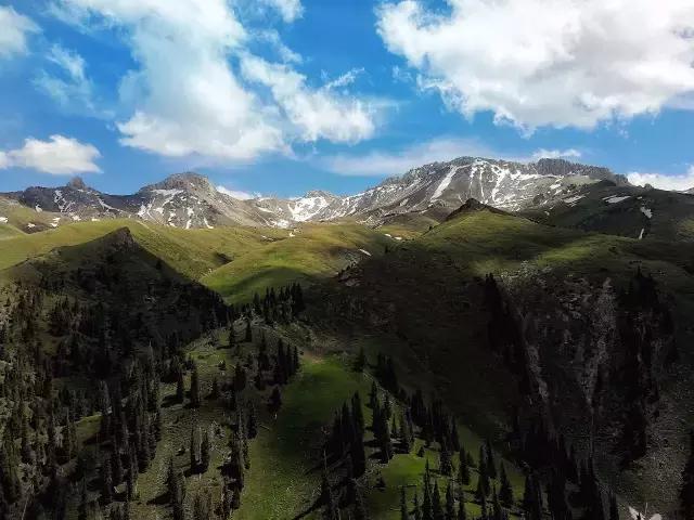 用手机学摄影从零开始自学,用手机学摄影教程入门